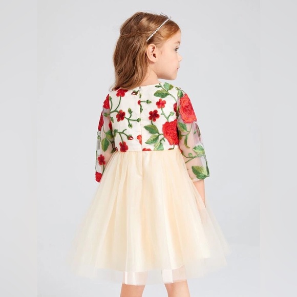 Toddler Girls Formal Holiday Christmas Floral Embroidery Mesh Gown Dress Size 4 - Picture 5 of 17